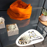Tiger Catchall