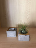 Gold + Concrete Airplant or Tealight Holder